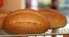 Olsztyńscy naukowcy opracowali mieszankę do wypieku chleba dla chorych na celiakię